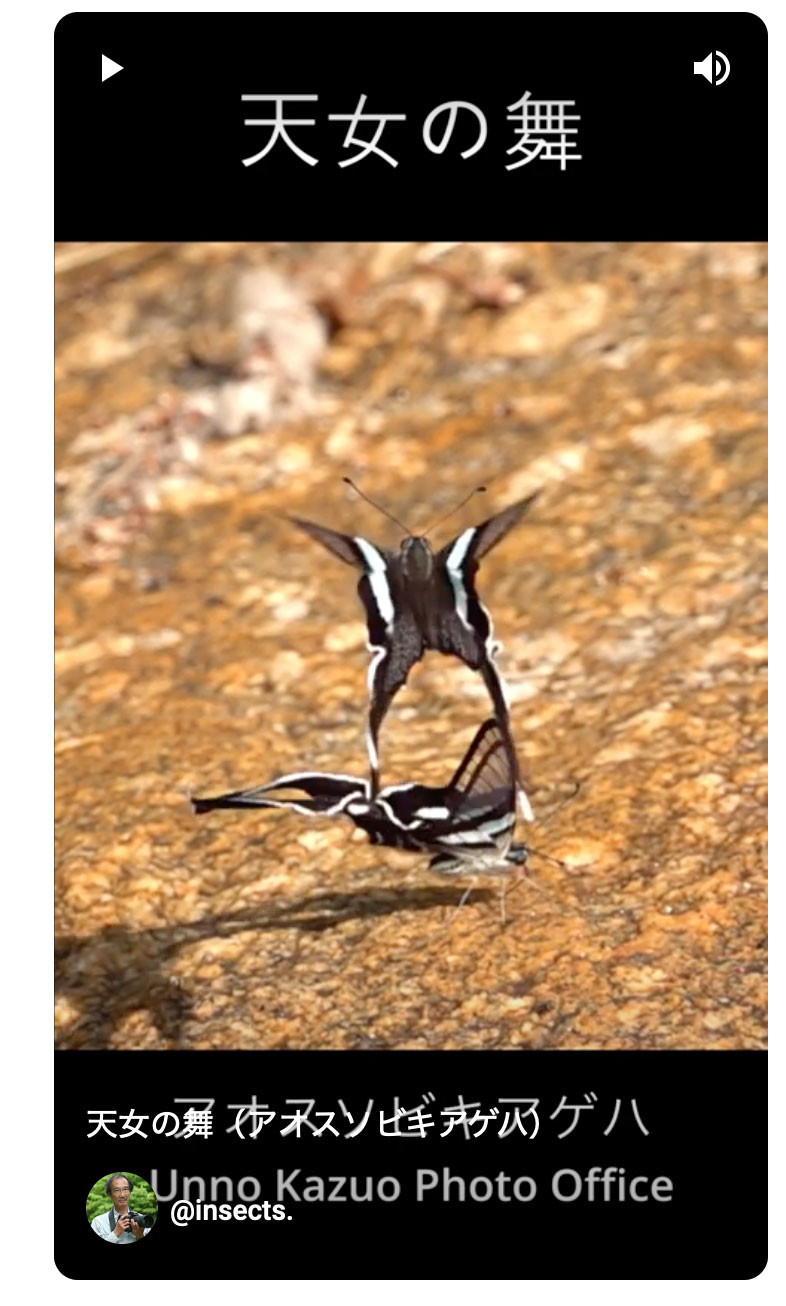 天女の舞