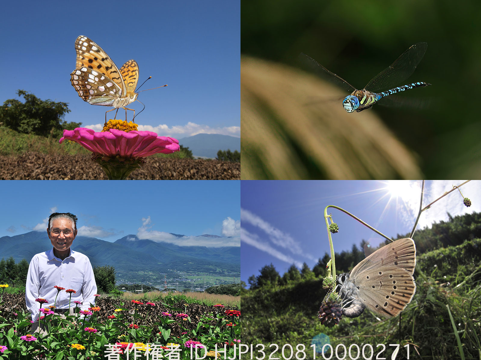 2009年8-9月の写真に名前をつけた