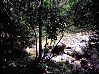 マレーシアへ行ってきました