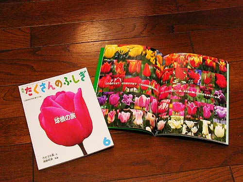 「球根の旅」の本できました