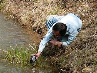 デジカメでオツネントンボの産卵を撮る