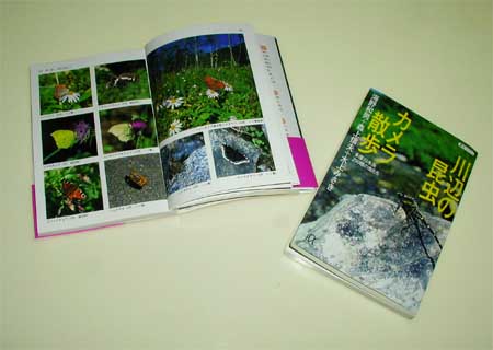 「川辺の昆虫カメラ散歩」が講談社+α文庫から出ました