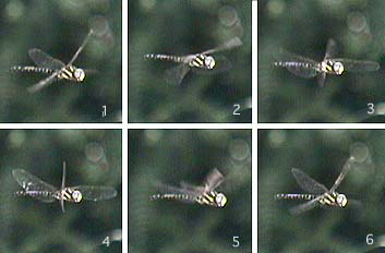 高速度ビデオカメラ