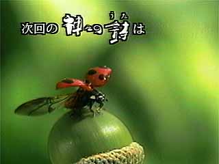 （番組の予告）神々の詩