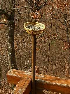 鳥用の餌台を設置