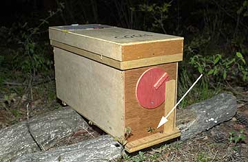 ミツバチの巣箱が届いた