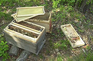 ミツバチの巣箱