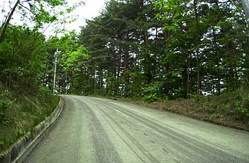 驚異のアカマツ花粉