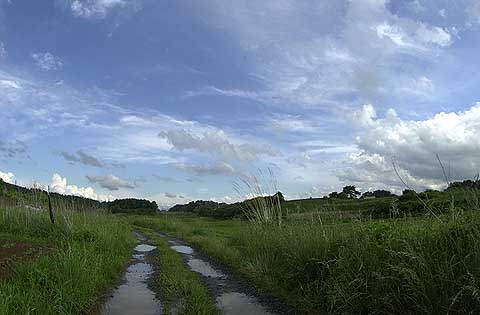 久しぶりの晴れ間