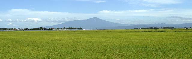 庄内平野と鳥海山