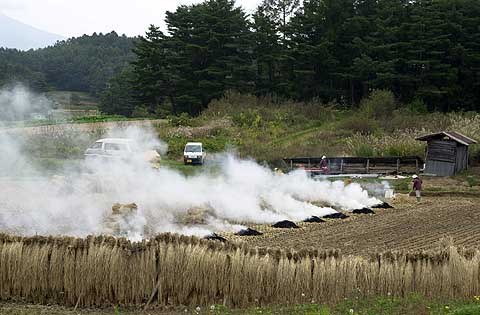 稲わら焼き