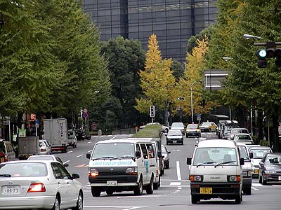 神田のイチョウ