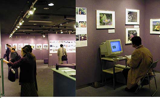 小諸日記写真展2日目