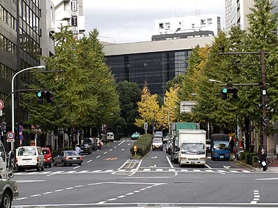 神田のイチョウ、その後