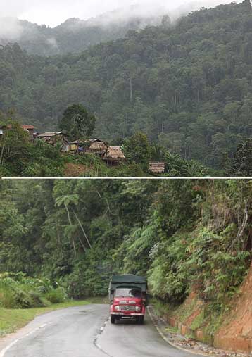 カメロンハイランド道路