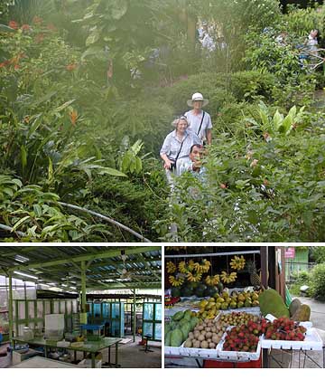 ペナンバタフライファーム（Penang Butterfly Farm）
