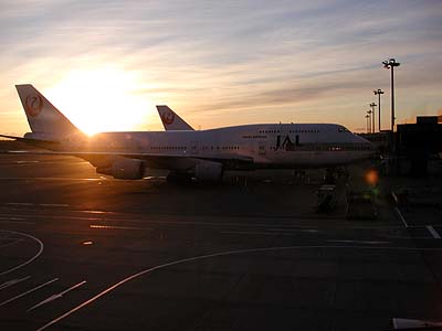 日本に戻りました