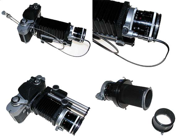 マクロスイターとアルパ（クラカメマクロ図鑑2）