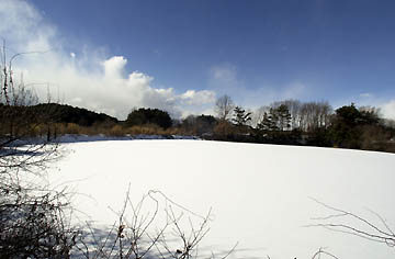 真っ白になったため池