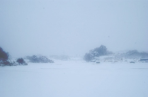 朝から降り続く雪
