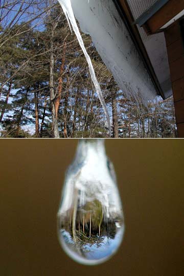つららから落ちる水滴