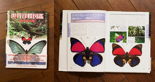 新しい本が出ました