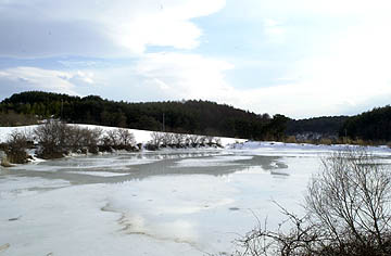 融け始めた池の氷