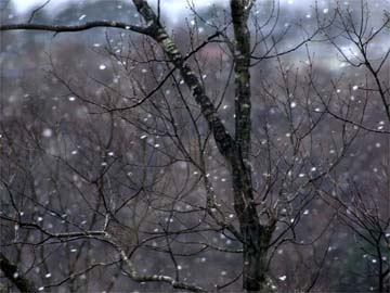 春の雪