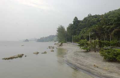 インドネシアの山火事の影響