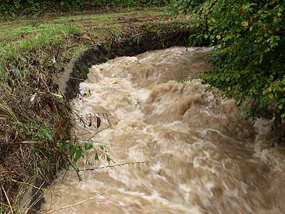 雨で増水したホタルの川