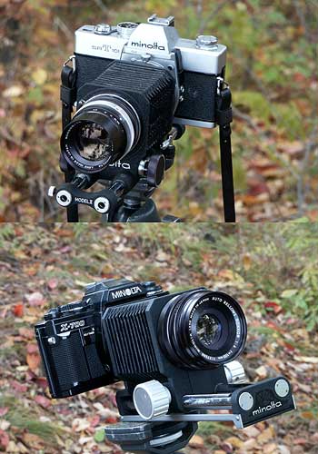 今日のクラシックカメラ2（ミノルタSRT101+ベローズ）