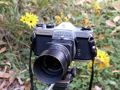 今日のクラシックカメラ2（ペンタックスSP+ベローズ）