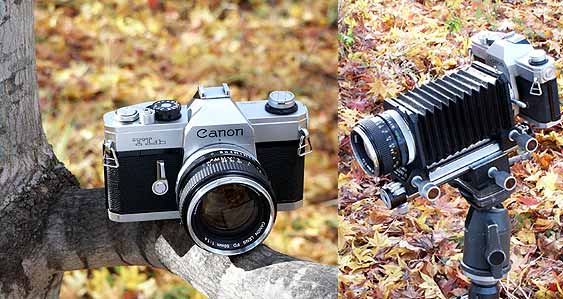 今日のクラシックカメラ（キャノンTLb+ベローズ）