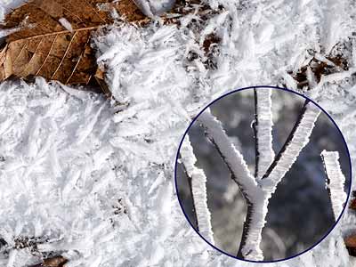 地表に落ちた霧氷