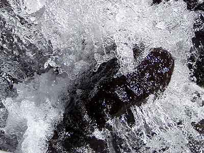 E-20のプログレッシブスキャンで撮った流れ