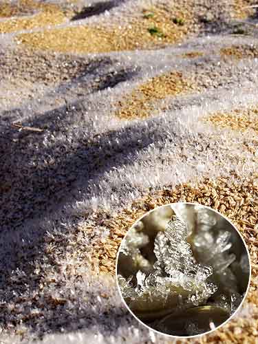 籾からでている不思議な氷