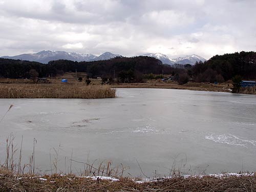 ため池は完全結氷