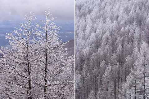 山は雪、下界は晴れ