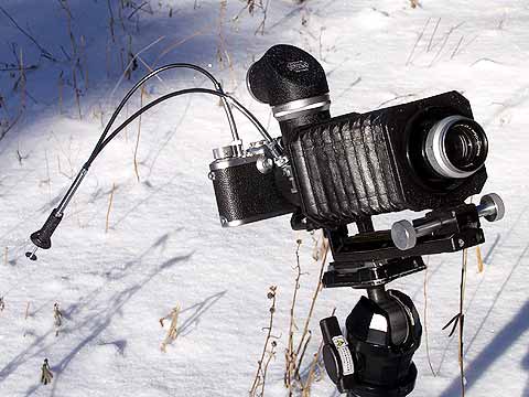 今日のクラシックカメラ(ライカ3f、ビゾフレックス1)