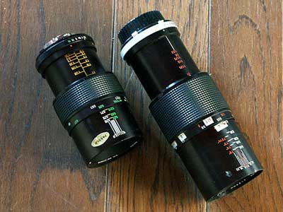 今日のマクロレンズ(ビビターとパナゴール)