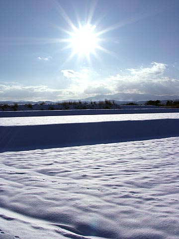 気温の低い一日