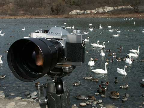 今日のクラシックカメラ（キャノンＥＸＡＵＴＯ）