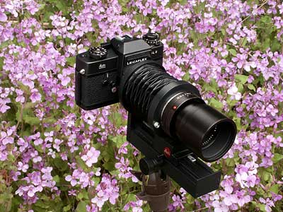 今日のクラシックカメラ（ベローズ）