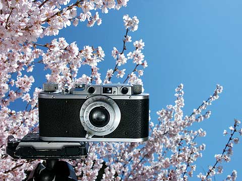 今日のクラシックカメラ（ライカ2）