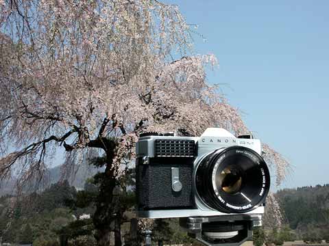 今日のクラシックカメラ（キャノンフレックスRM）
