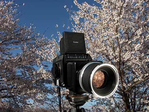 今日のクラシックカメラ（ローライSL66E）