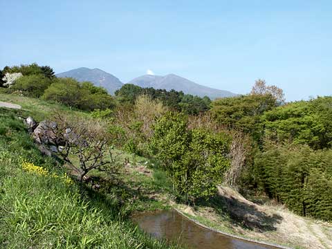菱平からの今日の浅間山