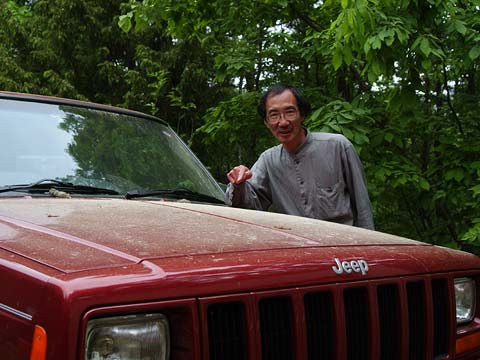 車に積もったマツ花粉