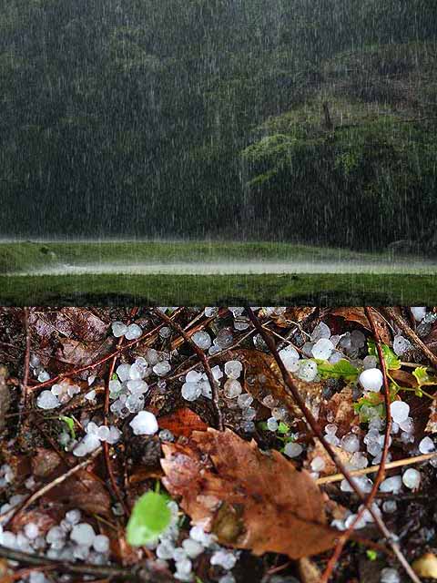 雹まじりの雨