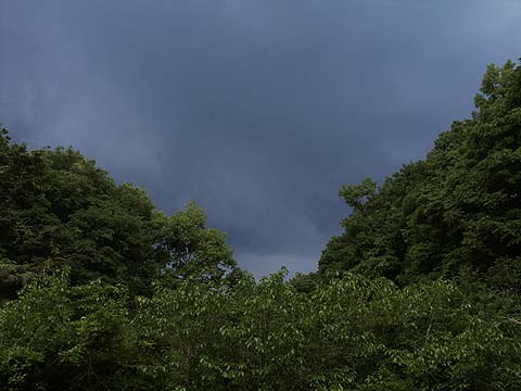 突如空が曇った